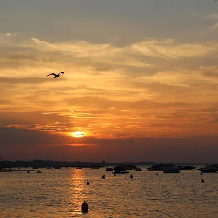 ホテル Locarno 3*